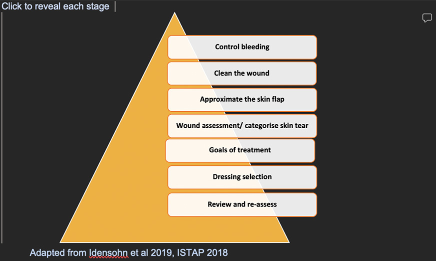 wounds-interactive